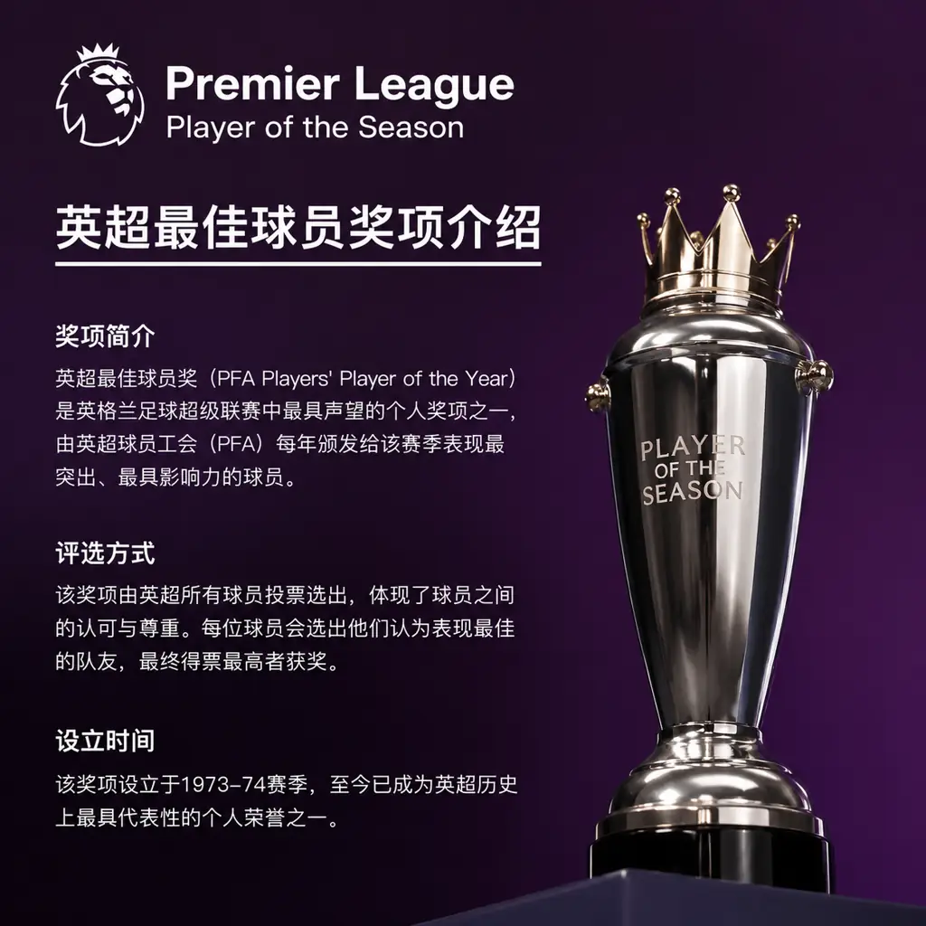 英超最佳球员奖项介绍
